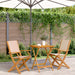 Set mobilier bistro, 3 piese, textil bej/lemn masiv - WALTI WALTI