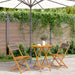 Set mobilier bistro, 3 piese, gri, polipropilenă și lemn masiv - WALTI WALTI