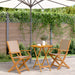 Set mobilier bistro, 3 piese, textil taupe/lemn masiv - WALTI WALTI
