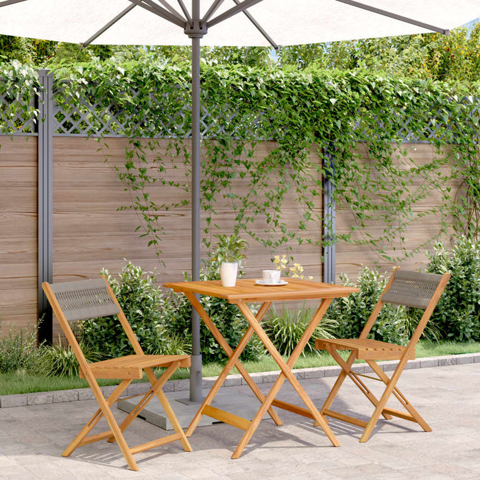 Set mobilier bistro, 3 piese, gri, polipropilenă și lemn masiv - WALTI WALTI