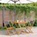 Set mobilier bistro, 3 piese, textil antracit/lemn masiv - WALTI WALTI
