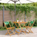 Set mobilier bistro, 3 piese, textil model frunze/lemn masiv - WALTI WALTI