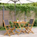 Set mobilier bistro, 3 piese, textil antracit/lemn masiv - WALTI WALTI
