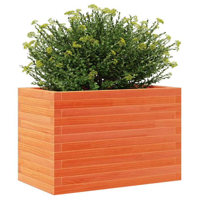 Jardinieră grădină, maro ceruit, 70x40x46 cm, lemn masiv pin - WALTI WALTI