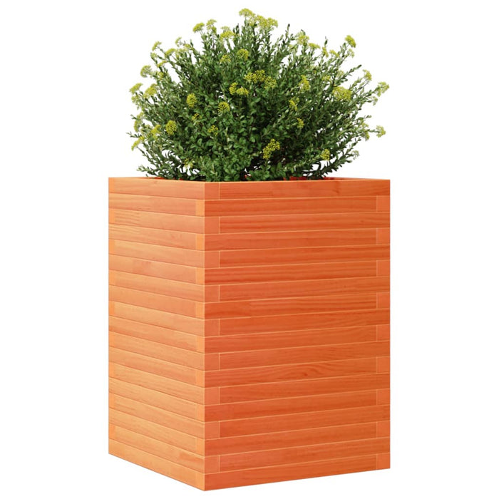 Jardinieră grădină, maro ceruit, 50x50x68,5 cm, lemn masiv pin - WALTI WALTI