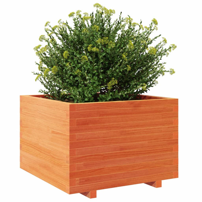 Jardinieră grădină, maro ceruit, 70x70x49,5 cm, lemn masiv pin - WALTI WALTI