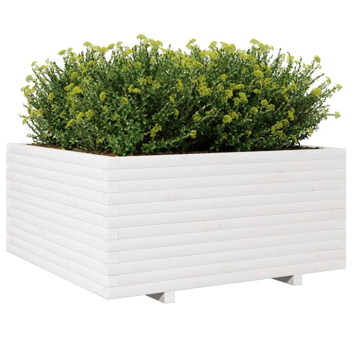 Jardinieră de grădină, alb, 100x100x49,5 cm, lemn masiv de pin - WALTI WALTI