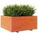 Jardinieră grădină maro ceruit, 100x100x49,5 cm, lemn masiv pin - WALTI WALTI