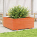 Jardinieră grădină maro ceruit, 110x110x49,5 cm, lemn masiv pin - WALTI WALTI