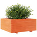 Jardinieră grădină maro ceruit, 110x110x49,5 cm, lemn masiv pin - WALTI WALTI