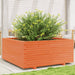 Jardinieră grădină maro ceruit, 110x110x49,5 cm, lemn masiv pin - WALTI WALTI