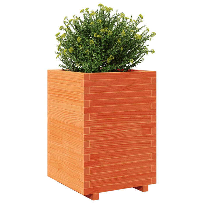 Jardinieră de grădină, maro ceruit 50x50x72,5 cm lemn masiv pin - WALTI WALTI