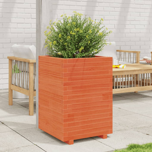 Jardinieră de grădină, maro ceruit 50x50x72,5 cm lemn masiv pin - WALTI WALTI