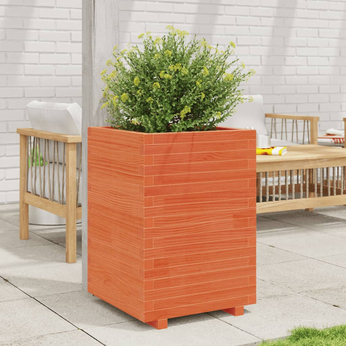 Jardinieră de grădină, maro ceruit 50x50x72,5 cm lemn masiv pin - WALTI WALTI