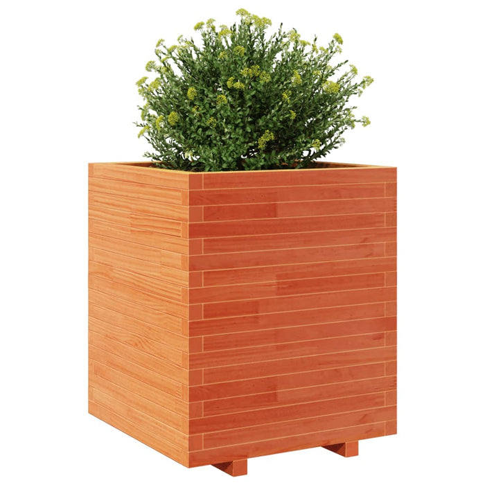 Jardinieră de grădină, maro ceruit 60x60x72,5 cm lemn masiv pin - WALTI WALTI