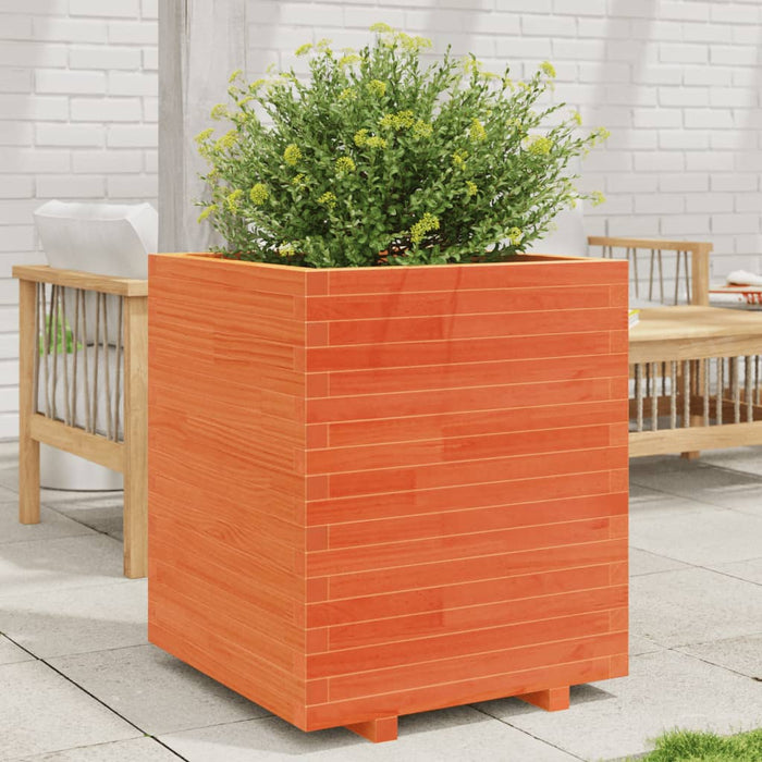 Jardinieră de grădină, maro ceruit 60x60x72,5 cm lemn masiv pin - WALTI WALTI