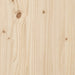 Masă de cafea, cadru O, 100x50x45 cm, lemn masiv pin și fontă - WALTI WALTI