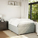 Pat continental cu saltea, gri deschis, 120x200 cm, catifea - WALTI WALTI