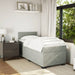 Pat box spring cu saltea, gri deschis, 100x200 cm, catifea - WALTI WALTI
