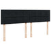 Pat box spring cu saltea, negru, 200x200 cm, catifea - WALTI WALTI