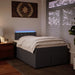 Pat box spring cu saltea, gri, 120x190 cm, piele ecologică - WALTI WALTI
