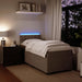 Pat box spring cu saltea, gri deschis, 90x200 cm, catifea - WALTI WALTI
