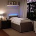 Pat box spring cu saltea, gri deschis, 90x200 cm, catifea - WALTI WALTI