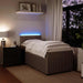 Pat box spring cu saltea, gri deschis, 100x200 cm, catifea - WALTI WALTI