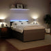 Pat box spring cu saltea, gri deschis, 160x200 cm, catifea - WALTI WALTI