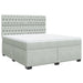 Pat box spring cu saltea, gri deschis, 180x200 cm, catifea - WALTI WALTI