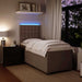 Pat box spring cu saltea, gri deschis, 90x200 cm, catifea - WALTI WALTI