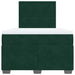 Pat box spring cu saltea, verde închis, 120x190 cm, catifea - WALTI WALTI