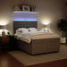 Pat box spring cu saltea, gri deschis, 160x200 cm, catifea - WALTI WALTI