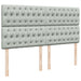 Pat box spring cu saltea, gri deschis, 200x200 cm, catifea - WALTI WALTI