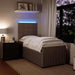 Pat continental cu saltea, gri deschis, 80x200 cm, catifea - WALTI WALTI