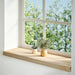Pervaz 2 buc lemn masiv de stejar netratat 70x30x2 cm - WALTI WALTI