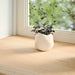 Pervaz 2 buc lemn masiv de stejar netratat 140x40x2 cm - WALTI WALTI