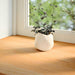 Pervaz 2 buc lemn masiv de maro deschis 120x15x2 cm - WALTI WALTI