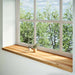 Pervaz 2 buc lemn masiv de maro deschis 160x40x2 cm - WALTI WALTI