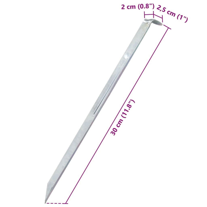 Țăruși de cort, 24 buc., 30 cm, Ø20 mm, oțel galvanizat - WALTI WALTI