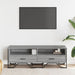 Dulap TV, gri sonoma, 122x34x41 cm, lemn prelucrat - WALTI WALTI