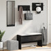 Set de mobilier pentru hol, 4 piese, negru, lemn prelucrat - WALTI WALTI