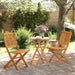 Set de bistro pliabil, 3 piese, lemn masiv de acacia - WALTI WALTI