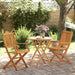 Set de bistro pliabil, 3 piese, lemn masiv de acacia - WALTI WALTI