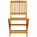 Set de bistro pliabil, 3 piese, lemn masiv de acacia - WALTI WALTI