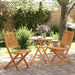Set de bistro pliabil, 3 piese, lemn masiv de acacia - WALTI WALTI