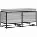 Cutie depozitare gri sonoma 100x40x51,5 cm lemn prelucrat - WALTI WALTI