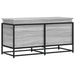 Cutie depozitare gri sonoma 100x40x51,5 cm lemn prelucrat - WALTI WALTI