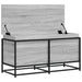 Cutie depozitare gri sonoma 100x40x51,5 cm lemn prelucrat - WALTI WALTI