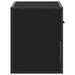 Dulap TV, negru, 60x31x39,5 cm, lemn prelucrat și metal - WALTI WALTI